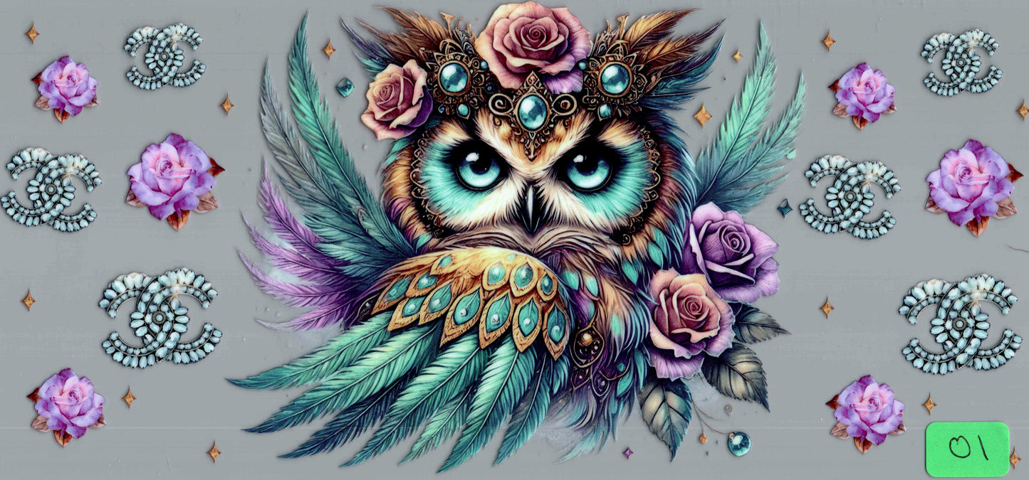 O1- owl