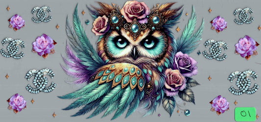 O1- owl