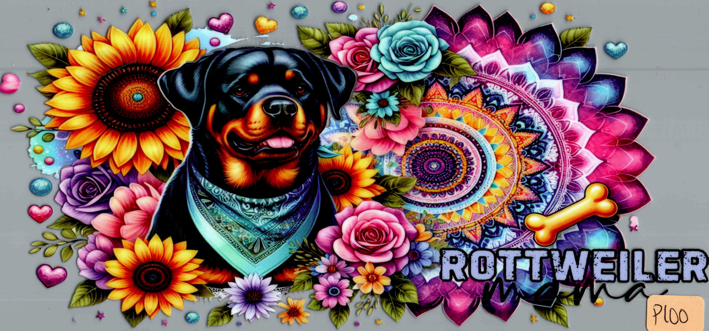 P100 ROTTWEILER