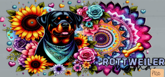 P100 ROTTWEILER