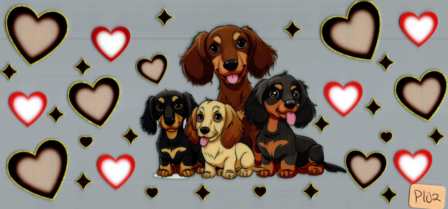 P102 DACHSHUND