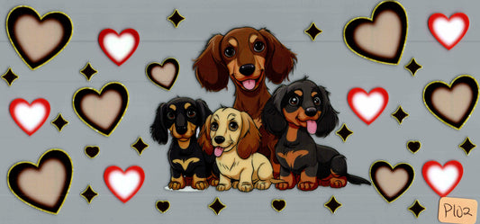 P102 DACHSHUND