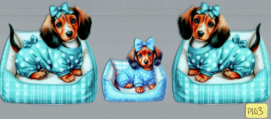 P103 DACHSHUNDS