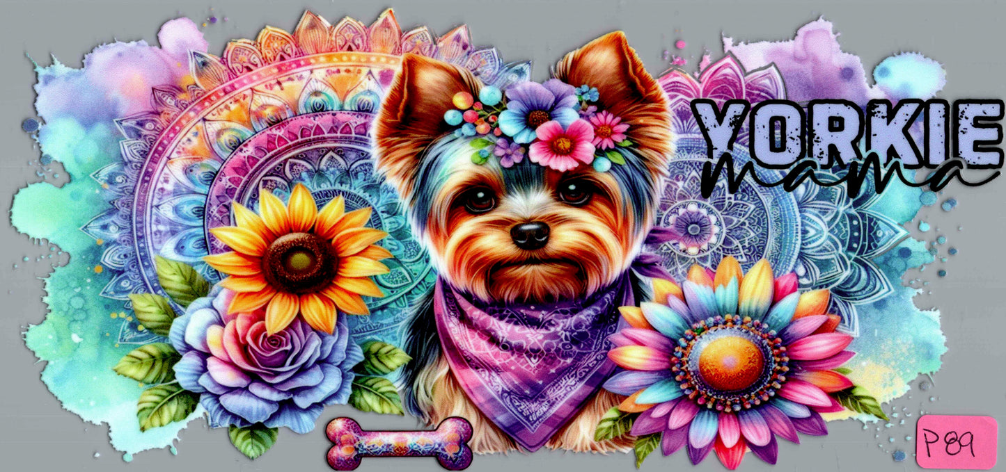 P89 YORKIE