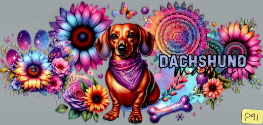 P91 DACHSHUND