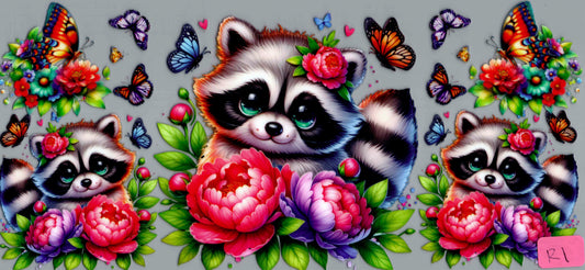 R1 RACCOON