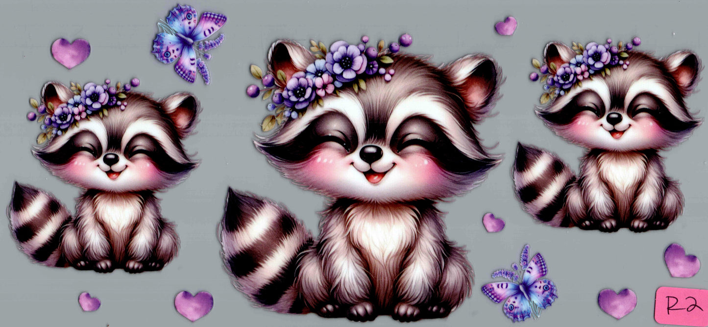 R2 RACCOON