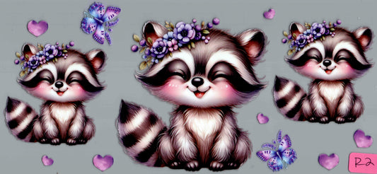 R2 RACCOON